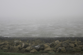 Pendant with Owyhee Picture Jaspis