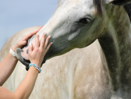 Paardenhaar armband Alaska