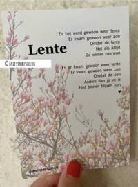 Lente - A6