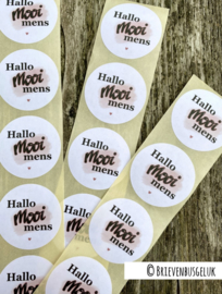 Hallo mooi mens - sticker