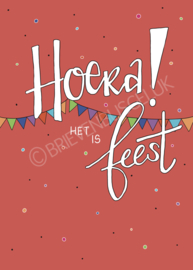 Hoera! Het is feest! - A6