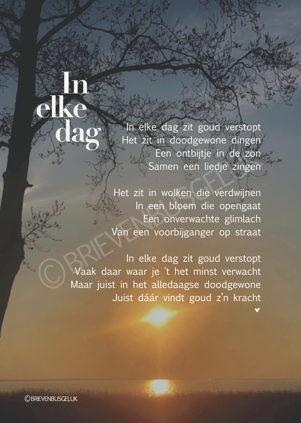 In elke dag