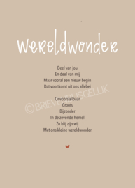 Wereldwonder - A6