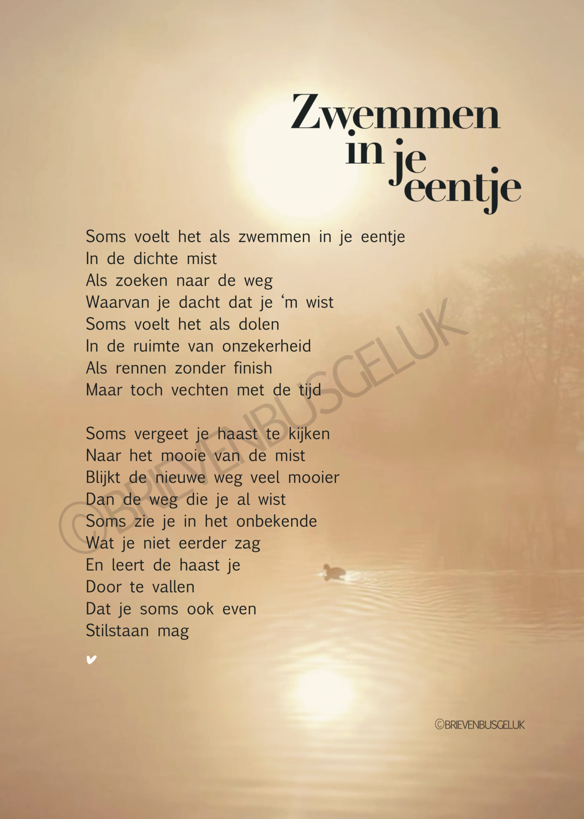 Zwemmen in je eentje - A6