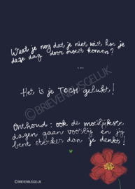 Toch gelukt - A6