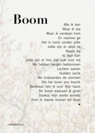 Boom - A5