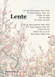Lente - A6