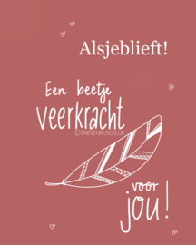 Pakketje TROOST