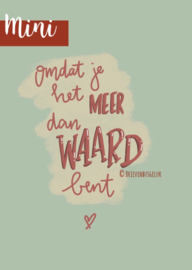 Meer dan waard - mini