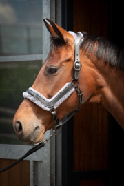 Harry horse Halster Leder Anatomic Furry Matt zwart