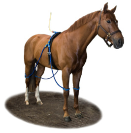 Equine Legcooler  4 benen