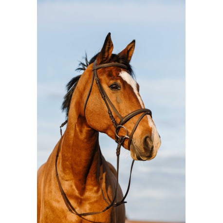 Riding World hoofdstel Full