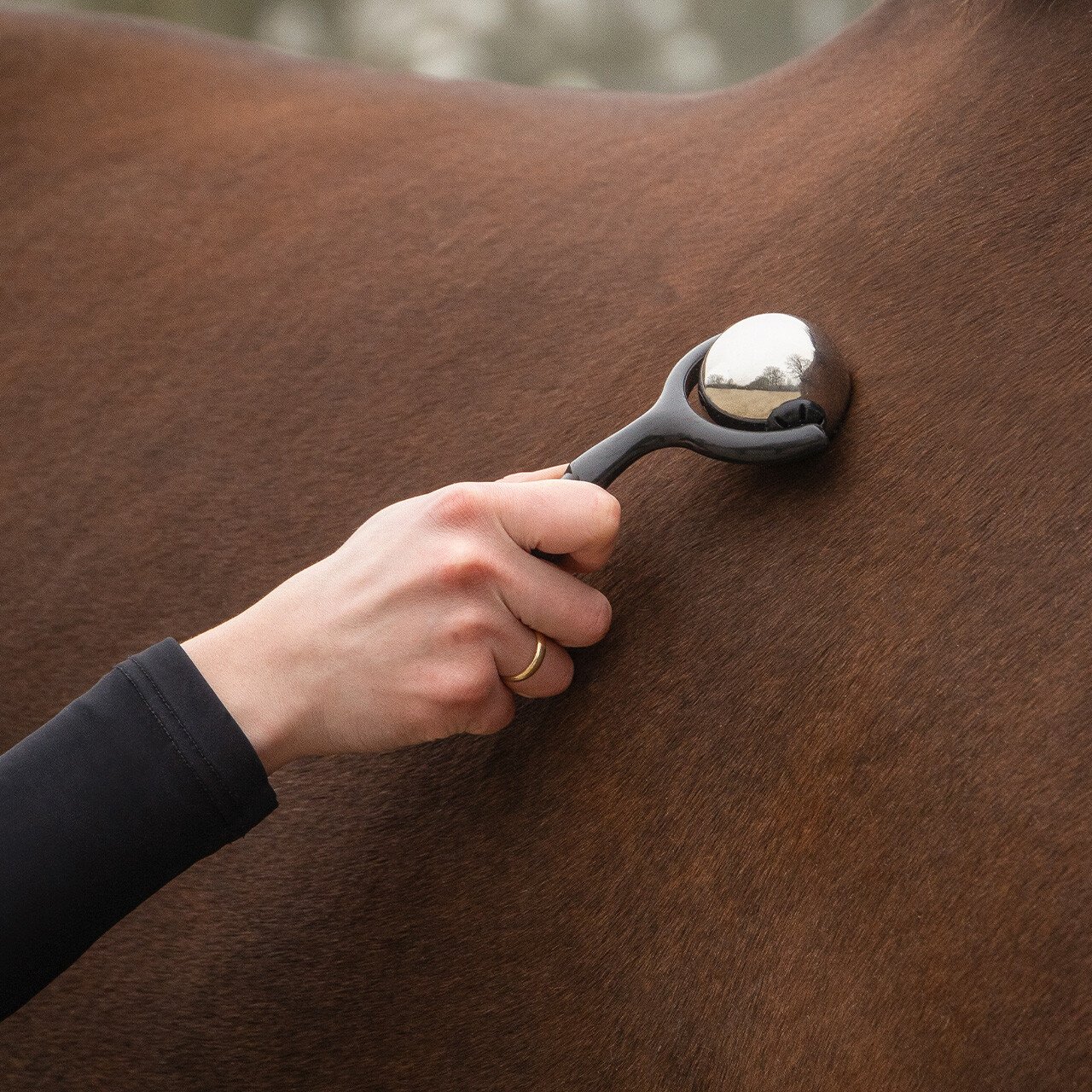Qhp massageroller voor paarden