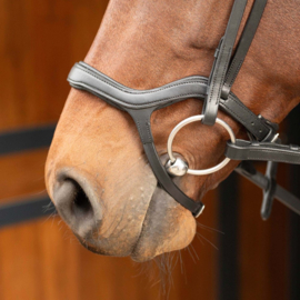 Hoofdstel Anatomic zwart  Harry horse