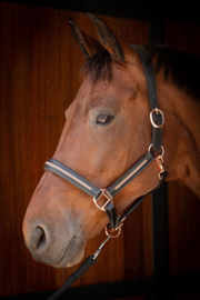 Harry horse Halster Leder Metallic zwart Rose of zilver