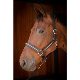Harry horse Halster Leder Metallic Zwart-Rosegold