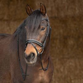 Harry horse Hoofdstel Sparkle leder Full