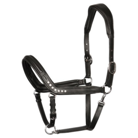 Harry horse halster leder Crystal anatomic