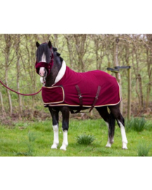 HB Showtime Harry and Hector Dutch Crown Burgundy kleine maten
