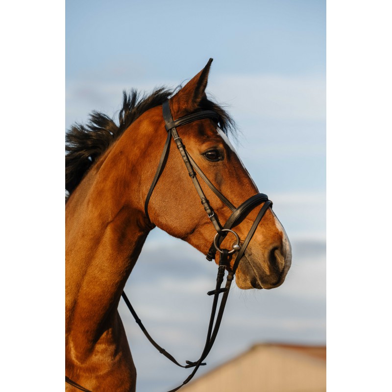 Riding World hoofdstel Full