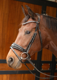 Hoofdstel Rosegold Lacque II zwart Harry horse