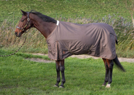 Harry horse Regendeken Thor 200gr carafe