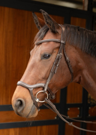 Hoofdstel Anatomic zwart  Harry horse