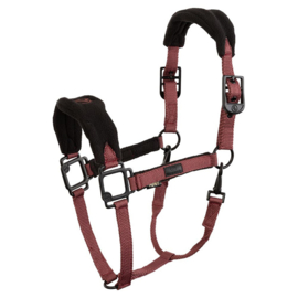 BR Eevolv halster Lavina Pony