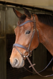Harry horse Hoofdstel Havanna Navy bruin