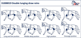 Harry horse Dubbele longeerlijn