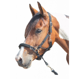 Halster -Safe Control- Style pony