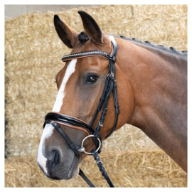 Harry horse hoofdstel Black Cognac