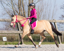 Qhp bareback pad full of pony verschillende kleuren