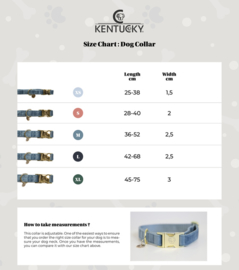 Kentucky honden band velvet light blue