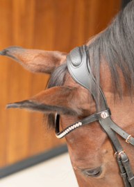 Hoofdstel Rosegold Lacque II zwart Harry horse