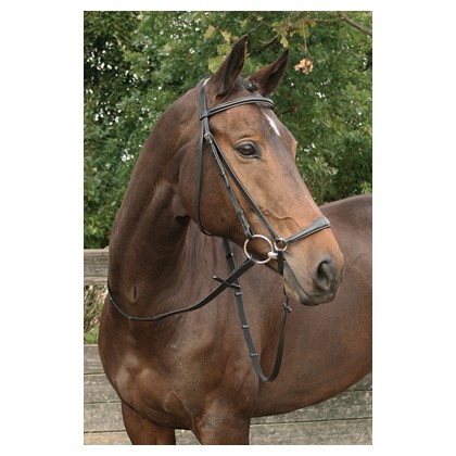 Harry horse  hoofdstel Bronze Lage Neusriem zwart Cob