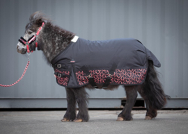 Harry horse regendeken STOUT! Coral shetland