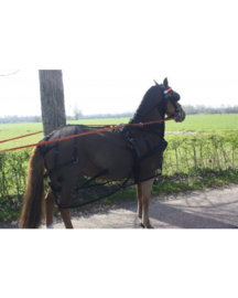 HB Men vliegendeken met hals maat 195