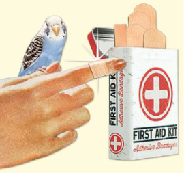 First aid kit Pleisterdoosje.