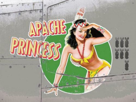 Apache Princess Bomber Girl  Metalen wandplaat 40 x 30 cm.