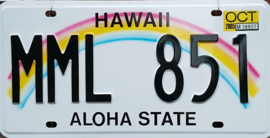 Replica Kentekenplaat Hawaii 16 x 31 cm.