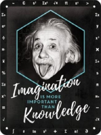 Einstein - Imagination & Knowledge. Metalen wandbord in reliëf 15 x 20 cm.