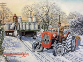 Massey Ferguson 35 Metalen wandbord 30 x 40 cm.