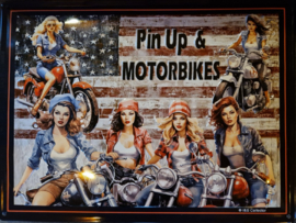 Pin Up & Motorbikes  Metalen wandbord 30 x 40 cm.