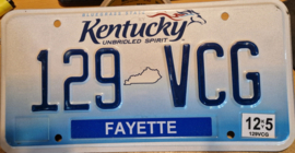 Kentucky Originele license plate  .