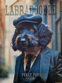 Labradoodle . Peaky Paws Club.    Metalen wandbord 40 x 30 cm .
