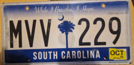 South Carolina Originele license plate  .