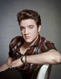 Elvis Presley Portrait.  Metalen wandbord 31,5 x 40,5 cm.
