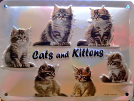 Cats and Kittens.  Metalen wandbord in reliëf 15 x 20 cm.