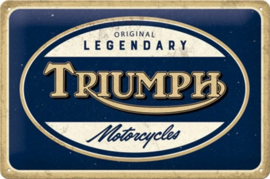 Triumph  Motorcycles. Metalen wandbord in reliëf 20 x 30 cm .